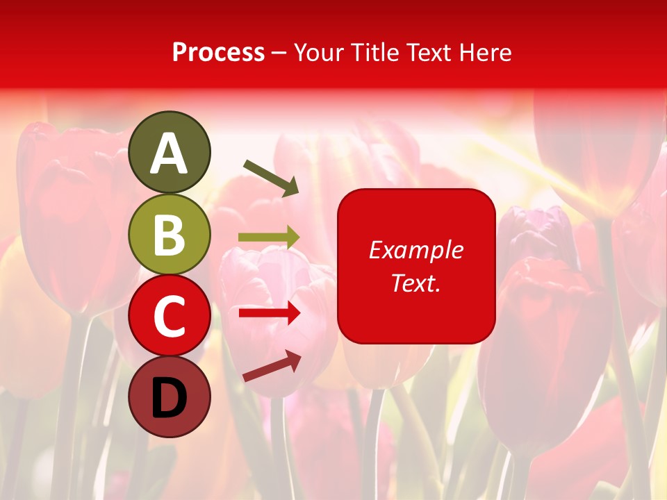 Color Multicolored Springtime PowerPoint Template