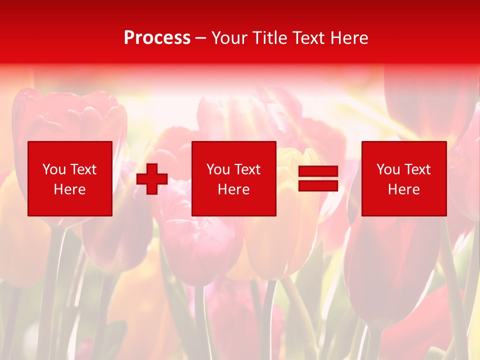 Color Multicolored Springtime PowerPoint Template