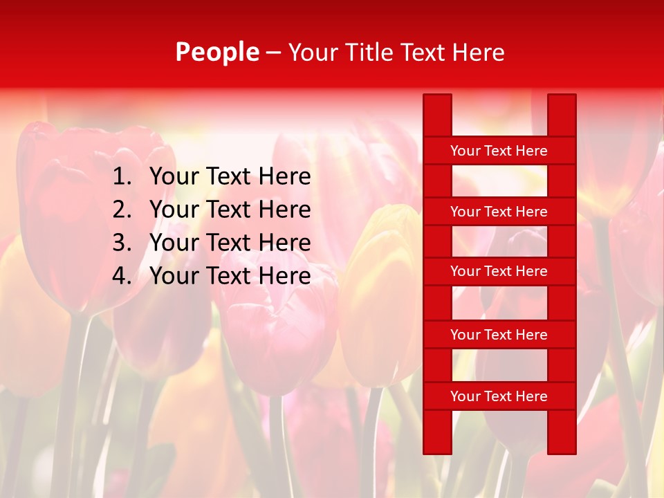 Color Multicolored Springtime PowerPoint Template