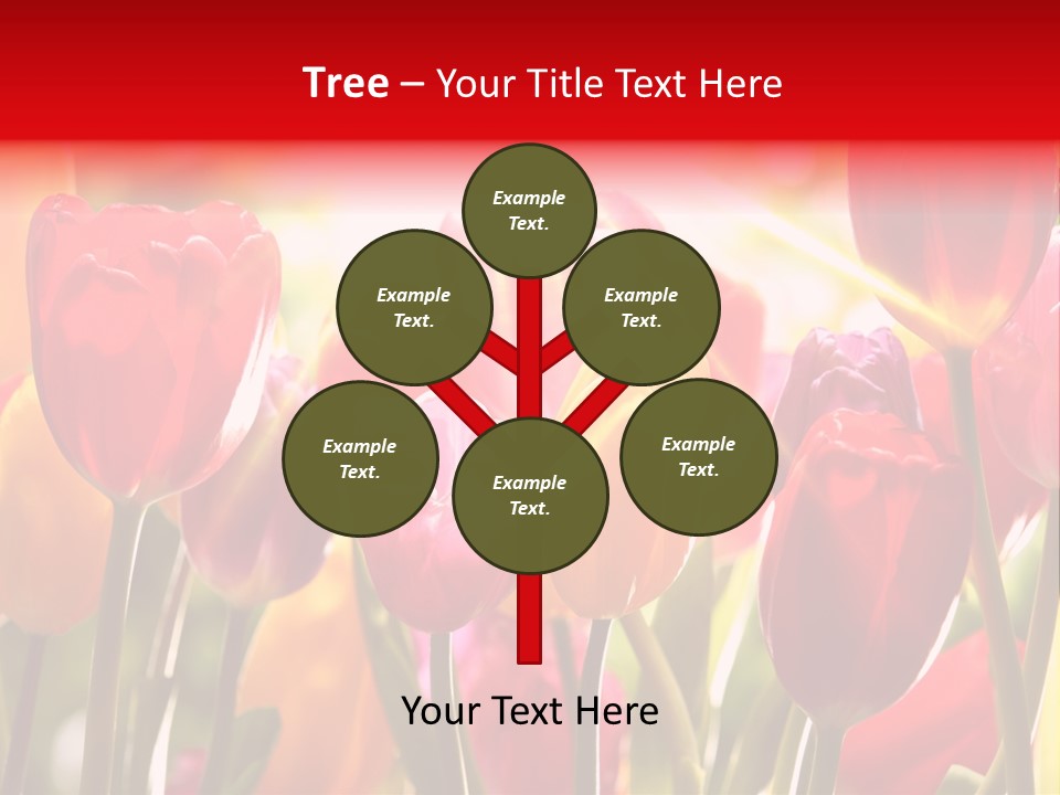 Color Multicolored Springtime PowerPoint Template