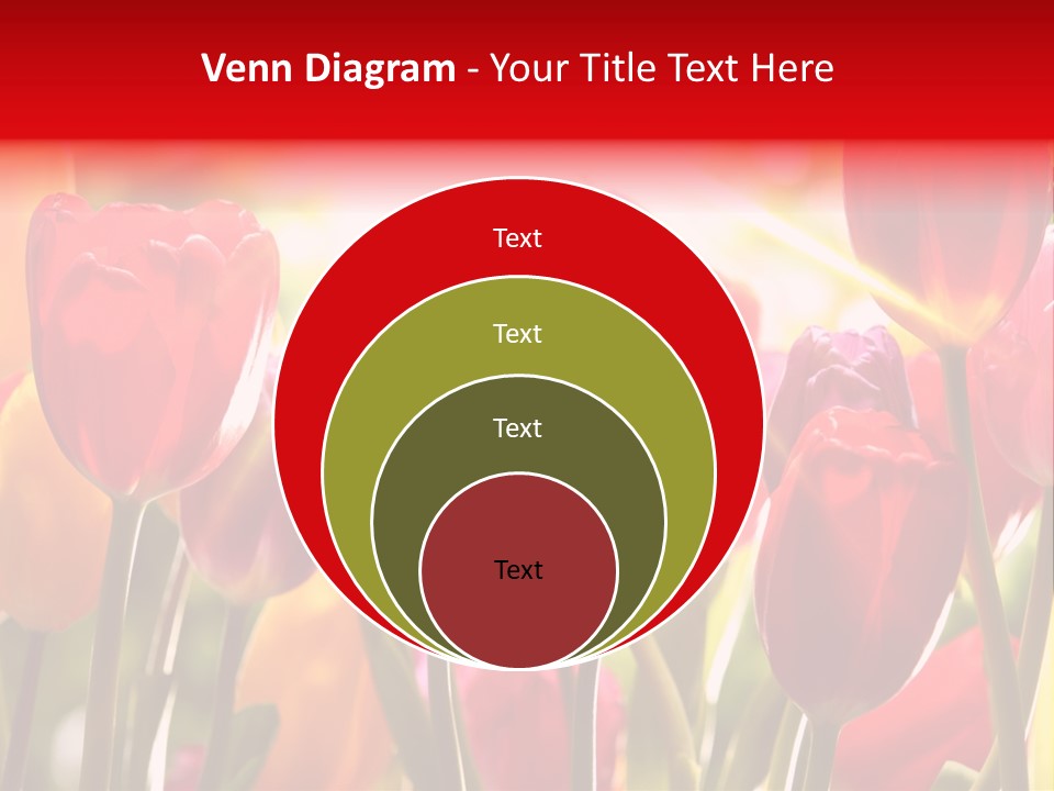 Color Multicolored Springtime PowerPoint Template