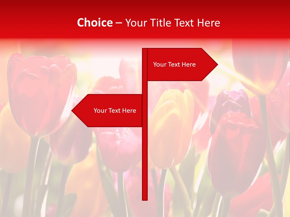 Color Multicolored Springtime PowerPoint Template