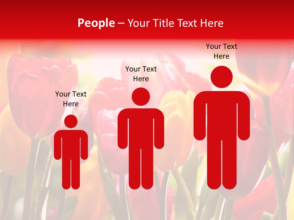 Color Multicolored Springtime PowerPoint Template