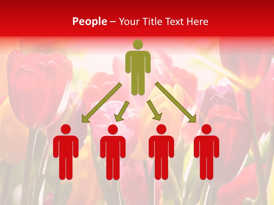 Color Multicolored Springtime PowerPoint Template