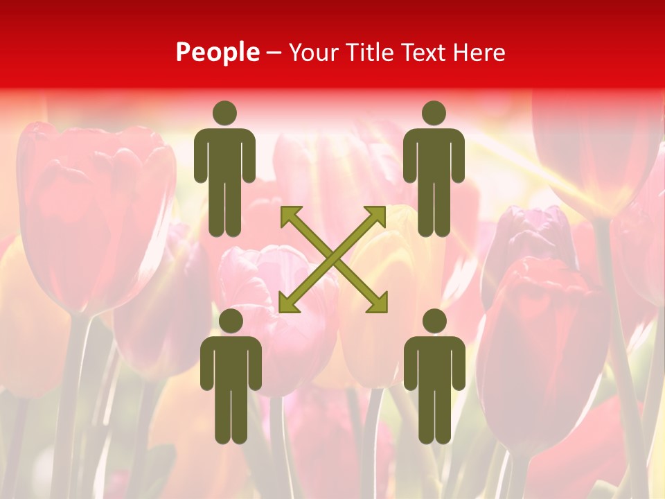 Color Multicolored Springtime PowerPoint Template