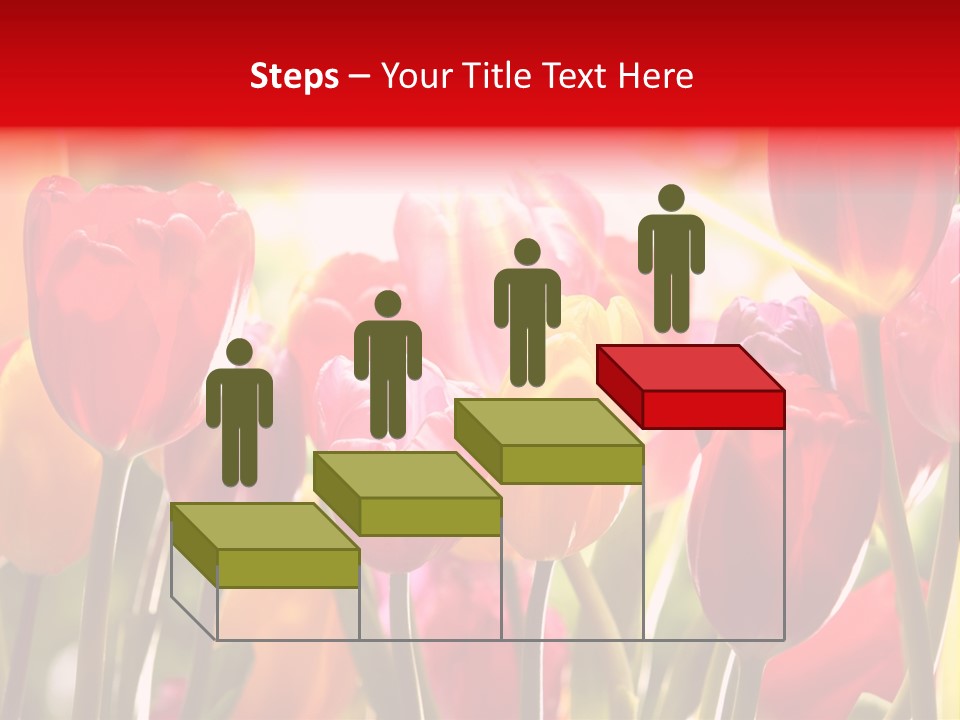 Color Multicolored Springtime PowerPoint Template