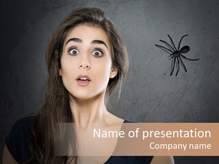 Kellerspinne Keller Angst PowerPoint Template