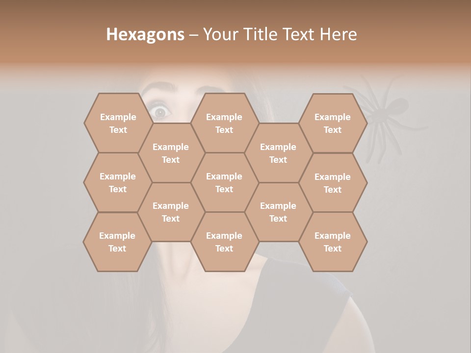 Kellerspinne Keller Angst PowerPoint Template