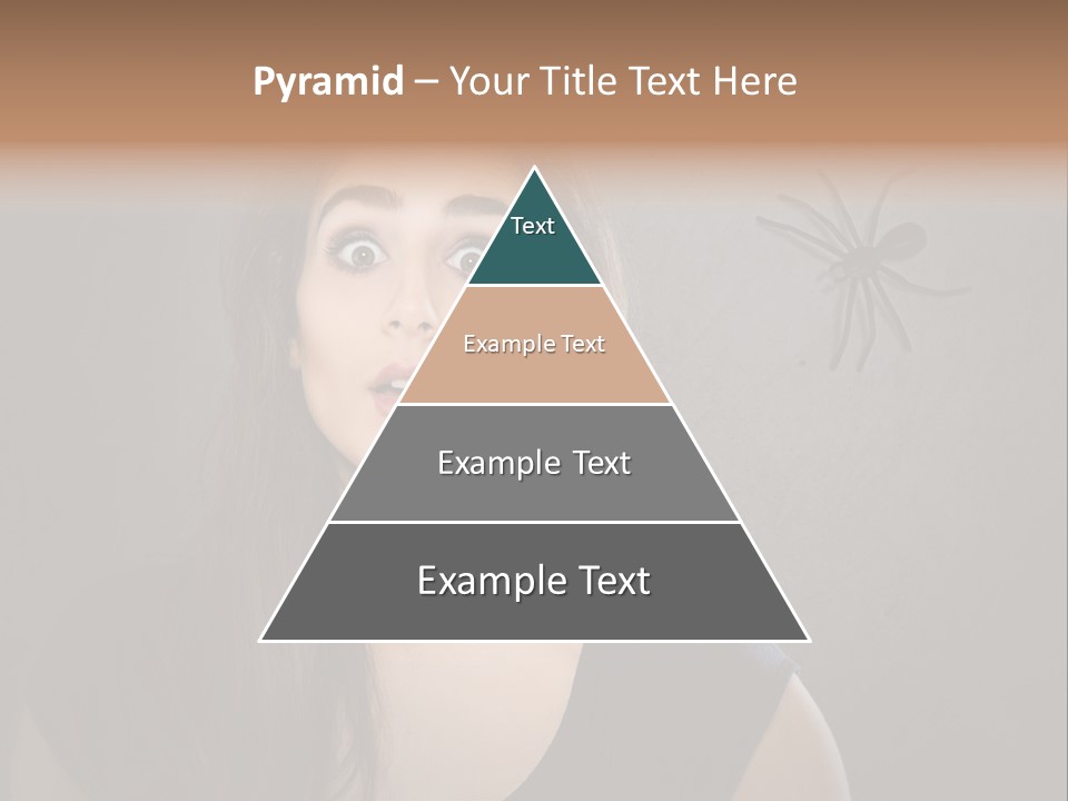 Kellerspinne Keller Angst PowerPoint Template