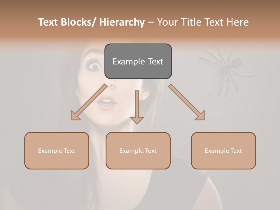Kellerspinne Keller Angst PowerPoint Template