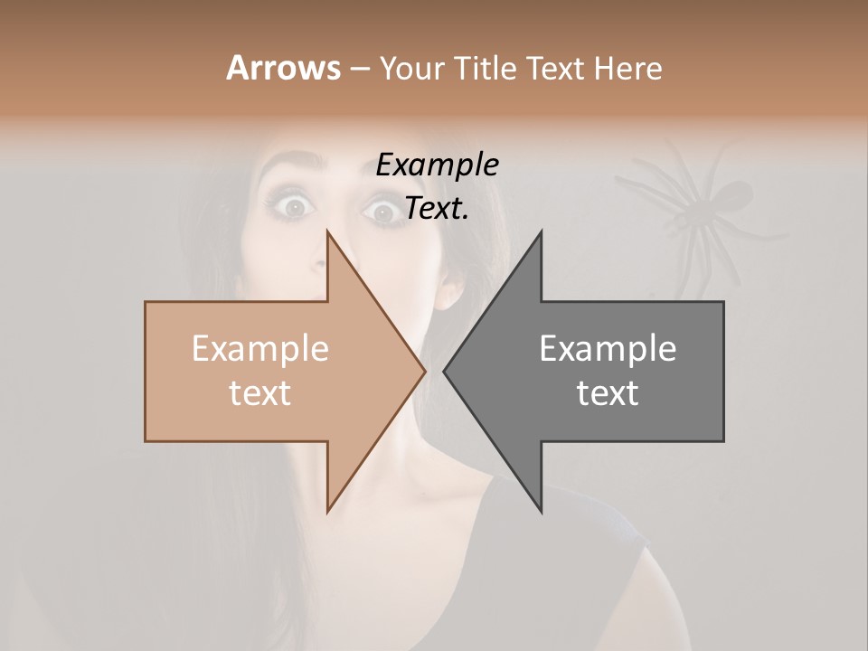 Kellerspinne Keller Angst PowerPoint Template