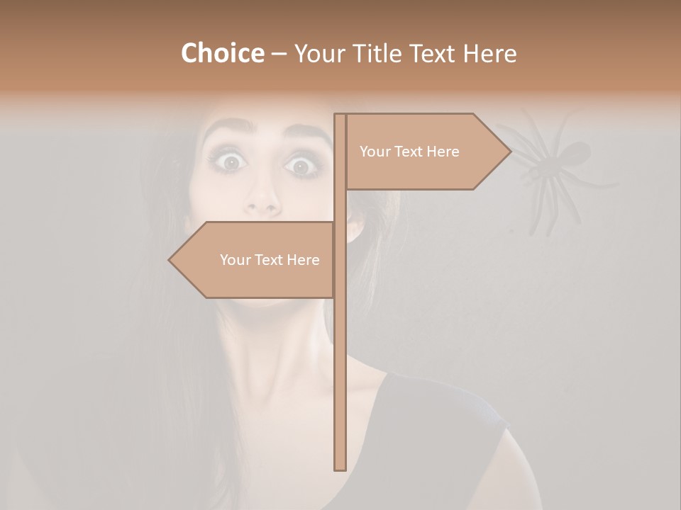 Kellerspinne Keller Angst PowerPoint Template
