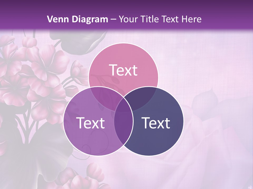 Ilustracja Kwiat Geranium PowerPoint Template