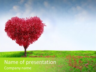 View Sky Beautiful PowerPoint Template