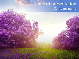 Ground Green Maple PowerPoint Template