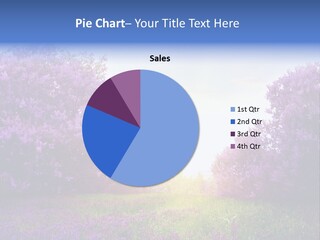 Ground Green Maple PowerPoint Template