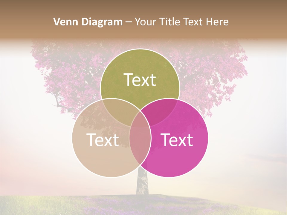 Maple Colorful Land PowerPoint Template