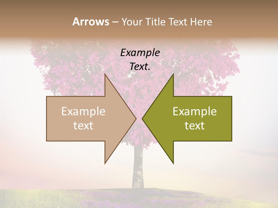 Maple Colorful Land PowerPoint Template