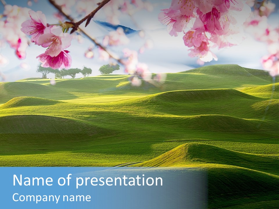 Cherry Sakura Recreation PowerPoint Template