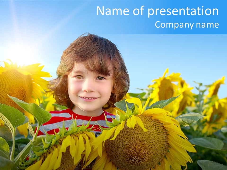 Blau Natur Feld PowerPoint Template