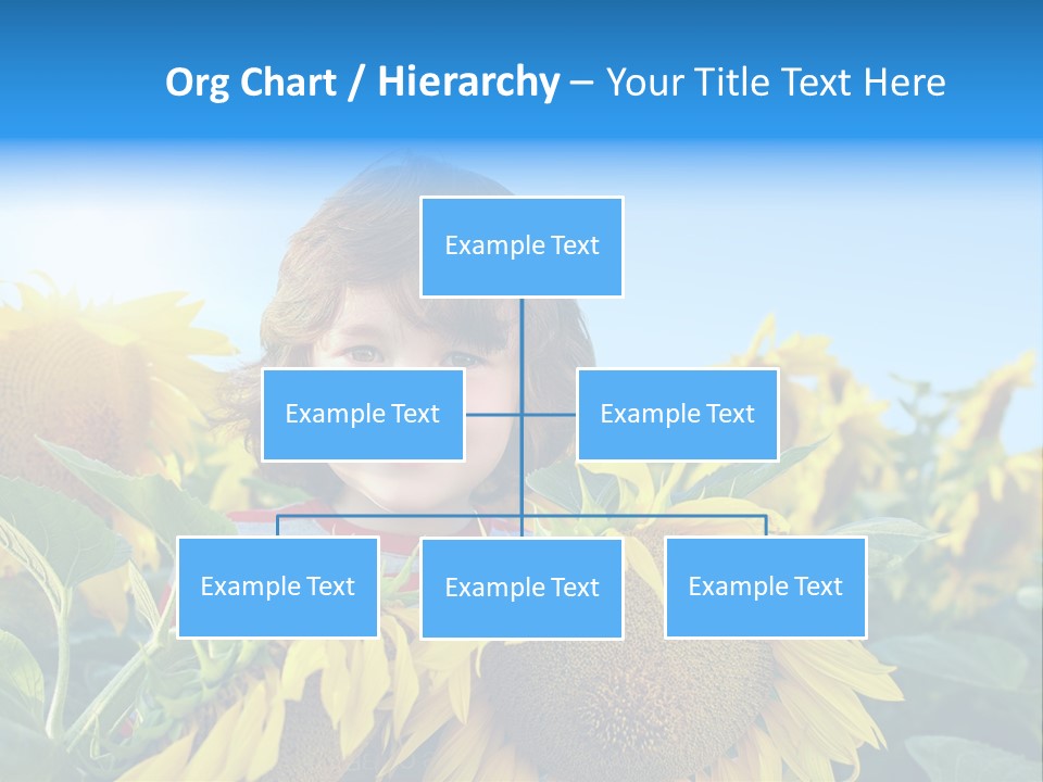 Blau Natur Feld PowerPoint Template