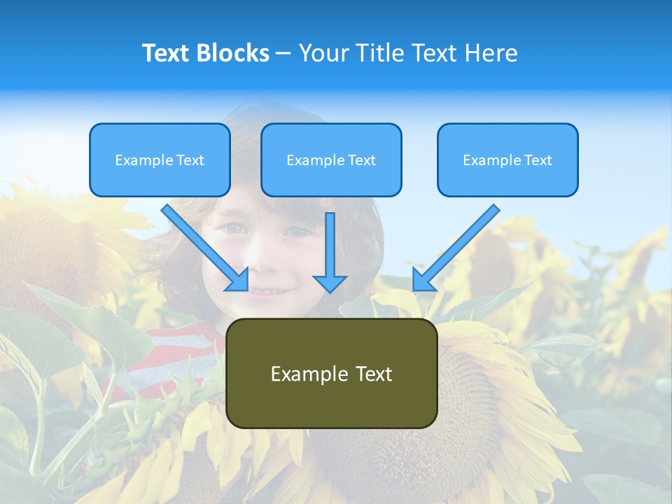 Blau Natur Feld PowerPoint Template