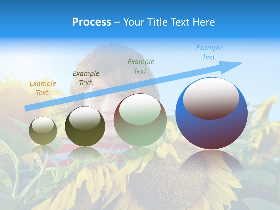 Blau Natur Feld PowerPoint Template