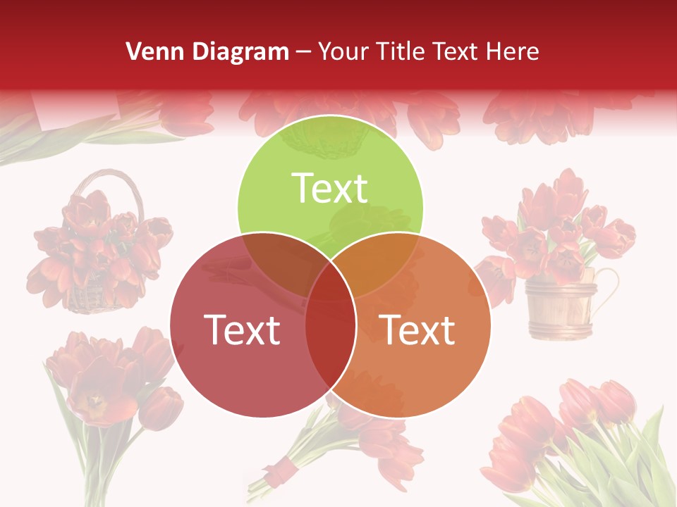 Rendered Health Caries PowerPoint Template