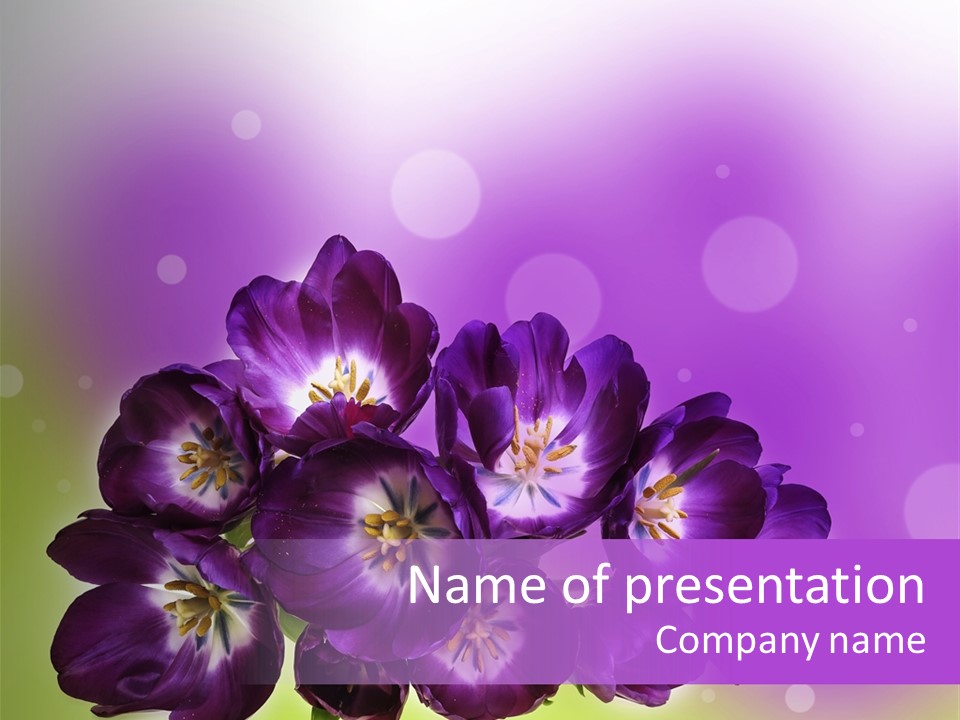 Bunch Of Blossom Sweet PowerPoint Template