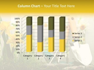 Garden Beautiful Work PowerPoint Template