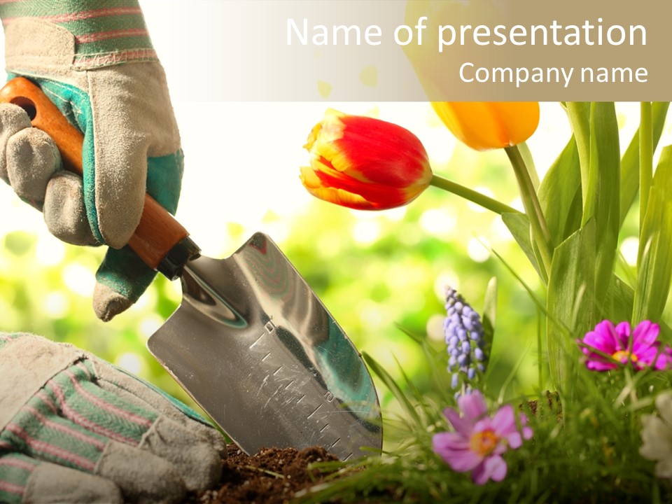 Hand Wood Plant PowerPoint Template