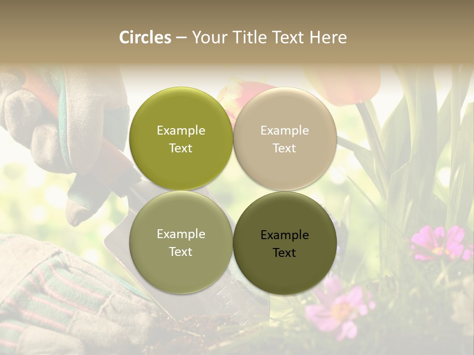 Hand Wood Plant PowerPoint Template