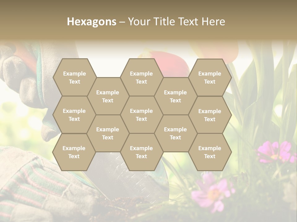 Hand Wood Plant PowerPoint Template