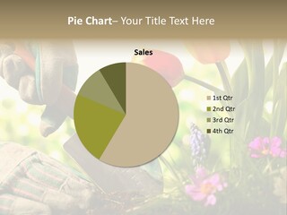 Hand Wood Plant PowerPoint Template