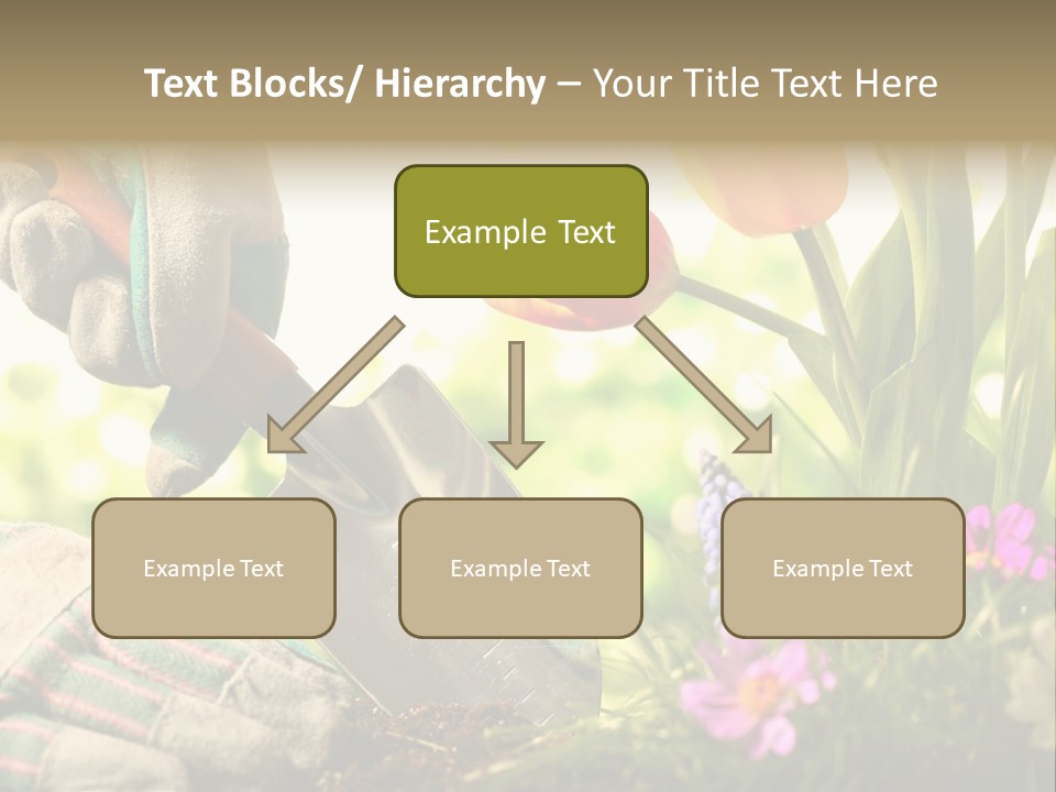 Hand Wood Plant PowerPoint Template