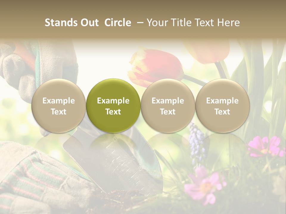 Hand Wood Plant PowerPoint Template