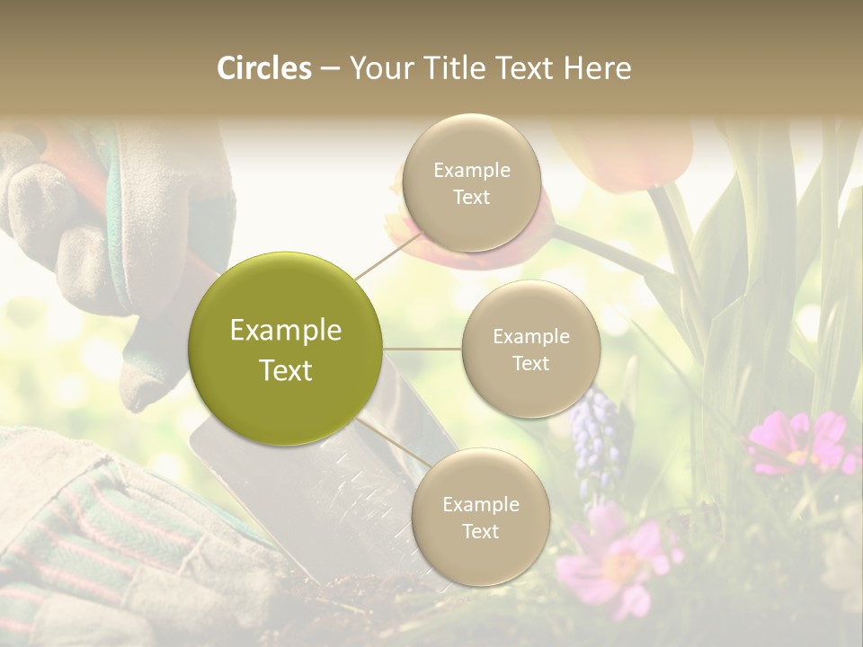 Hand Wood Plant PowerPoint Template