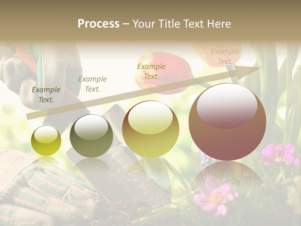 Hand Wood Plant PowerPoint Template