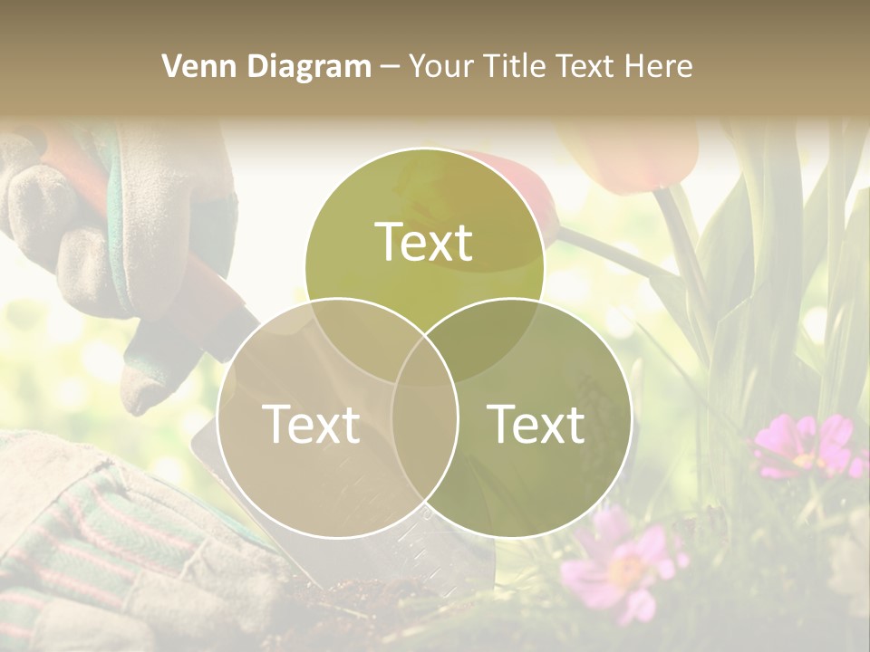 Hand Wood Plant PowerPoint Template