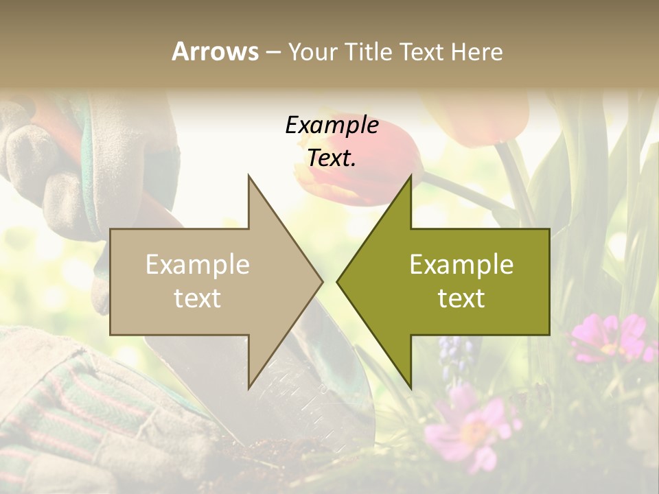 Hand Wood Plant PowerPoint Template