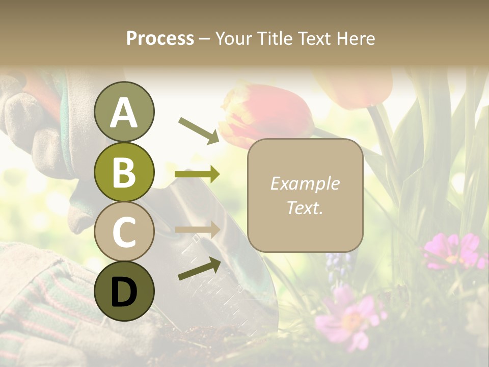 Hand Wood Plant PowerPoint Template