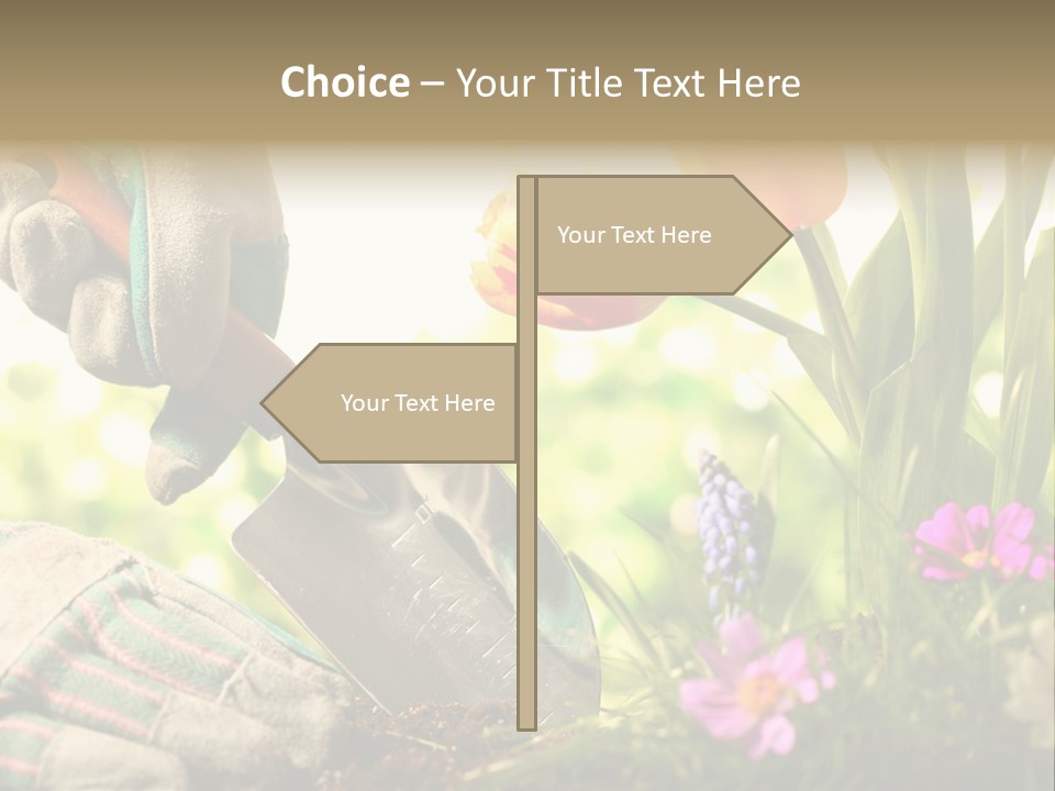 Hand Wood Plant PowerPoint Template