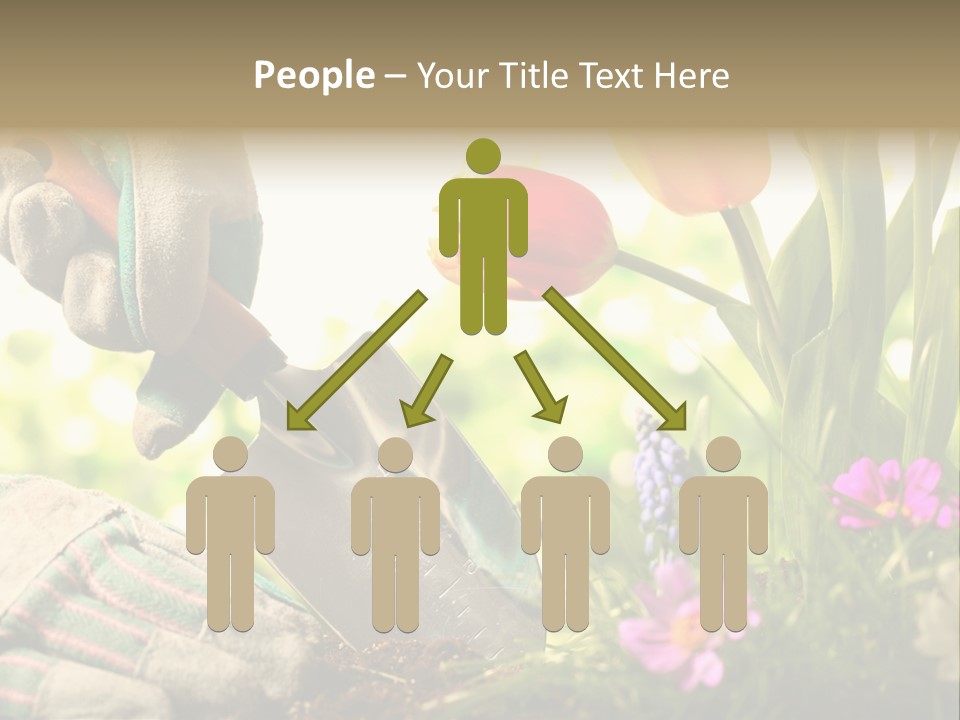 Hand Wood Plant PowerPoint Template