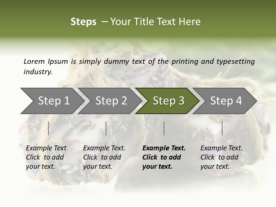 Bath Handmade Froth PowerPoint Template