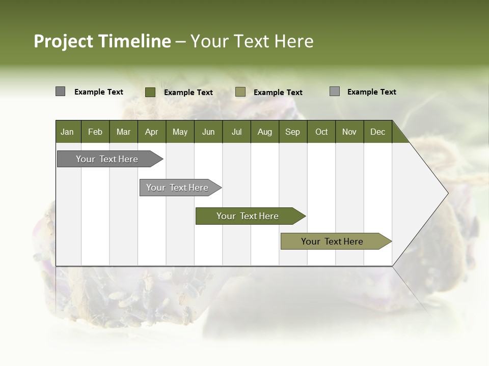 Bath Handmade Froth PowerPoint Template