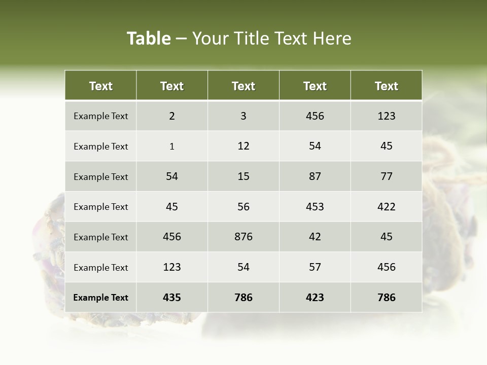 Bath Handmade Froth PowerPoint Template