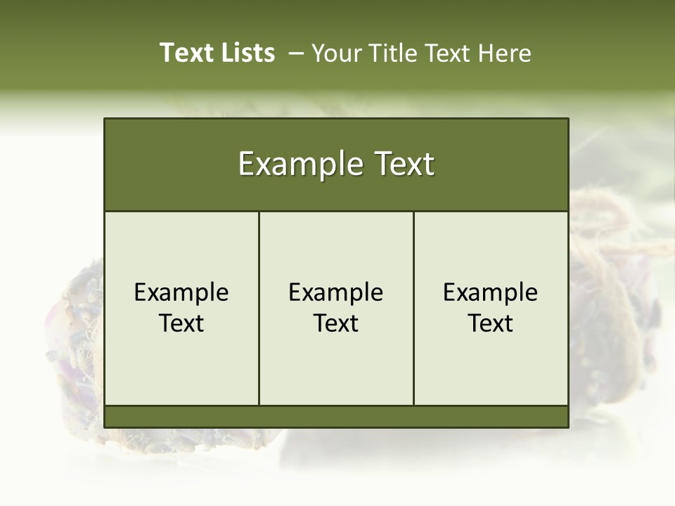 Bath Handmade Froth PowerPoint Template