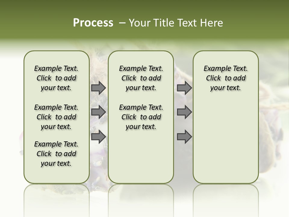 Bath Handmade Froth PowerPoint Template
