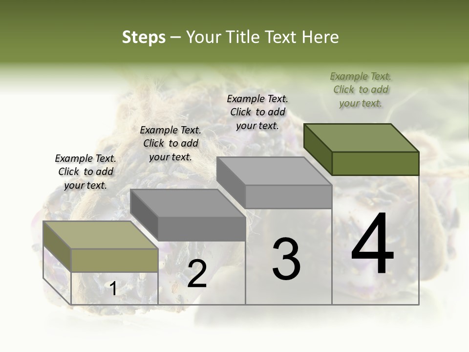 Bath Handmade Froth PowerPoint Template