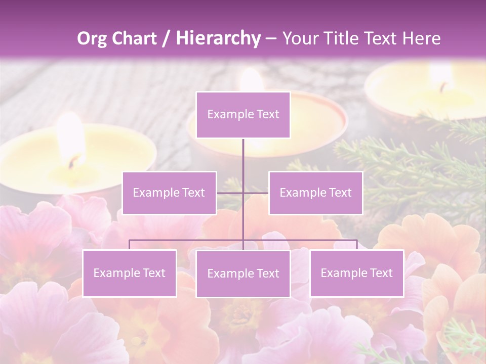 Blumendekoration Pflanzen Bunt PowerPoint Template